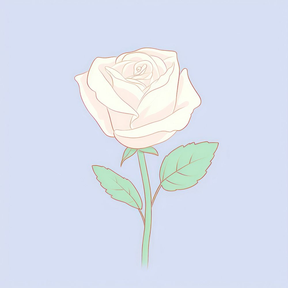 White rose cartoon drawing flower. AI generated Image by rawpixel.