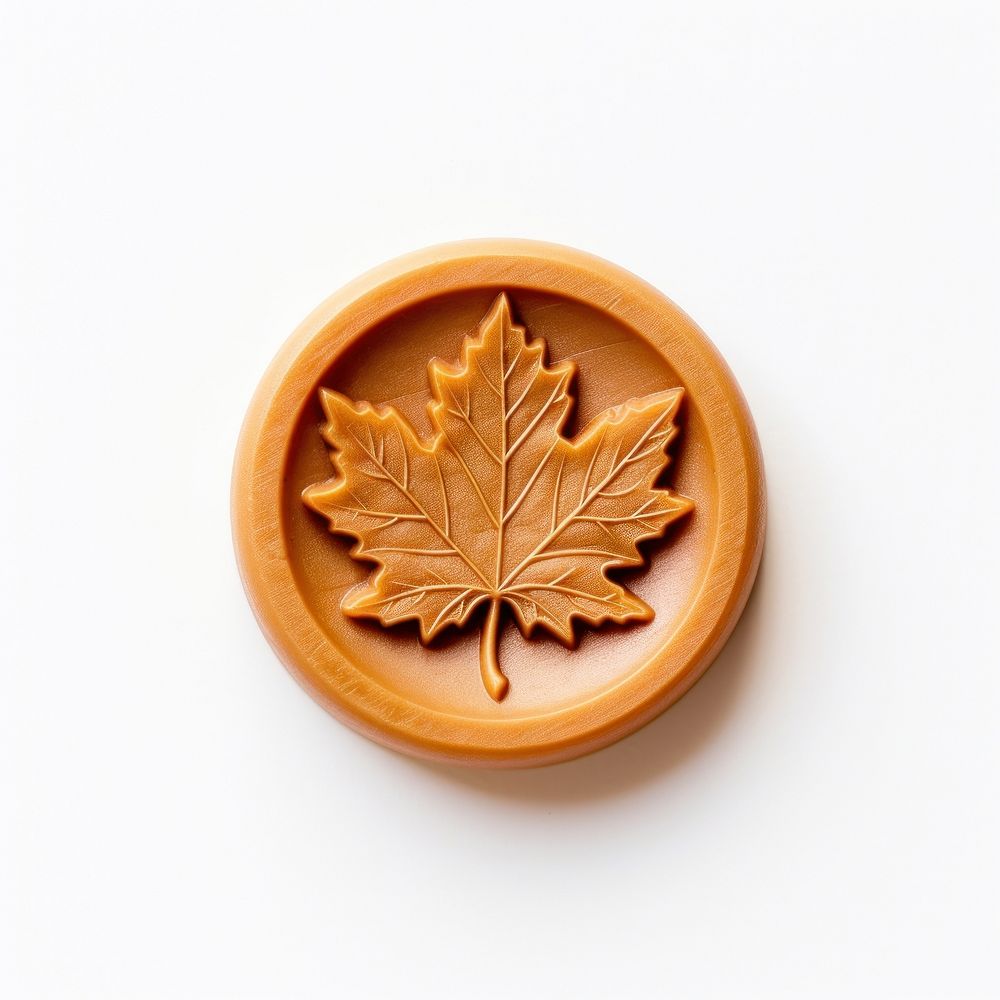 Seal Wax Stamp maple leaf locket craft plant.