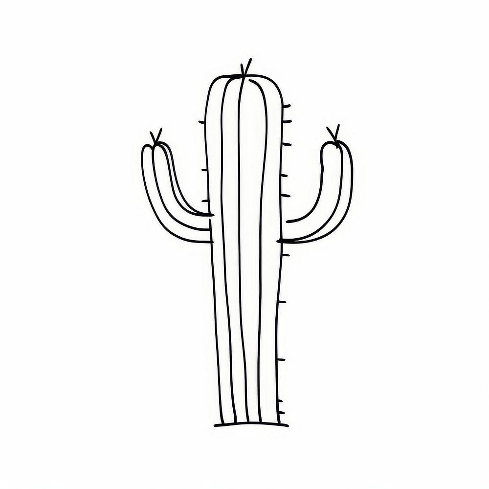 Cactus sketch line white background.