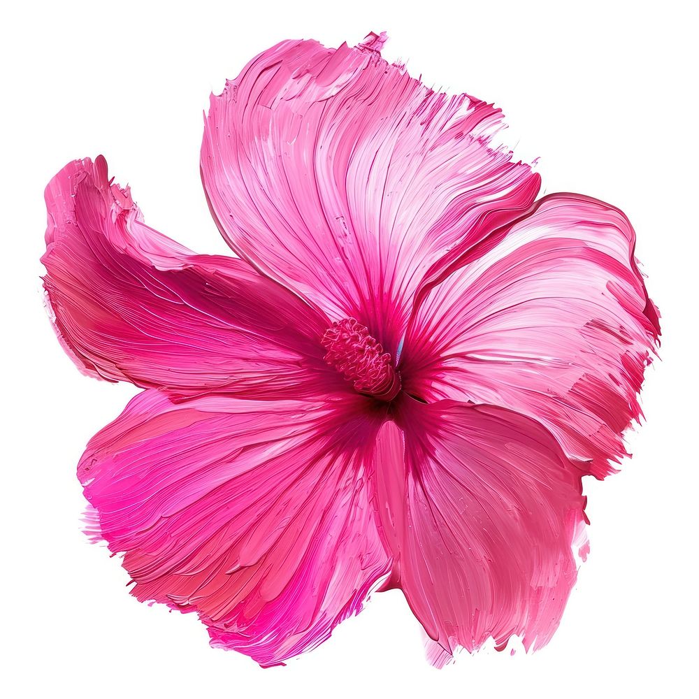 Paint flower shape brush stroke hibiscus petal plant.