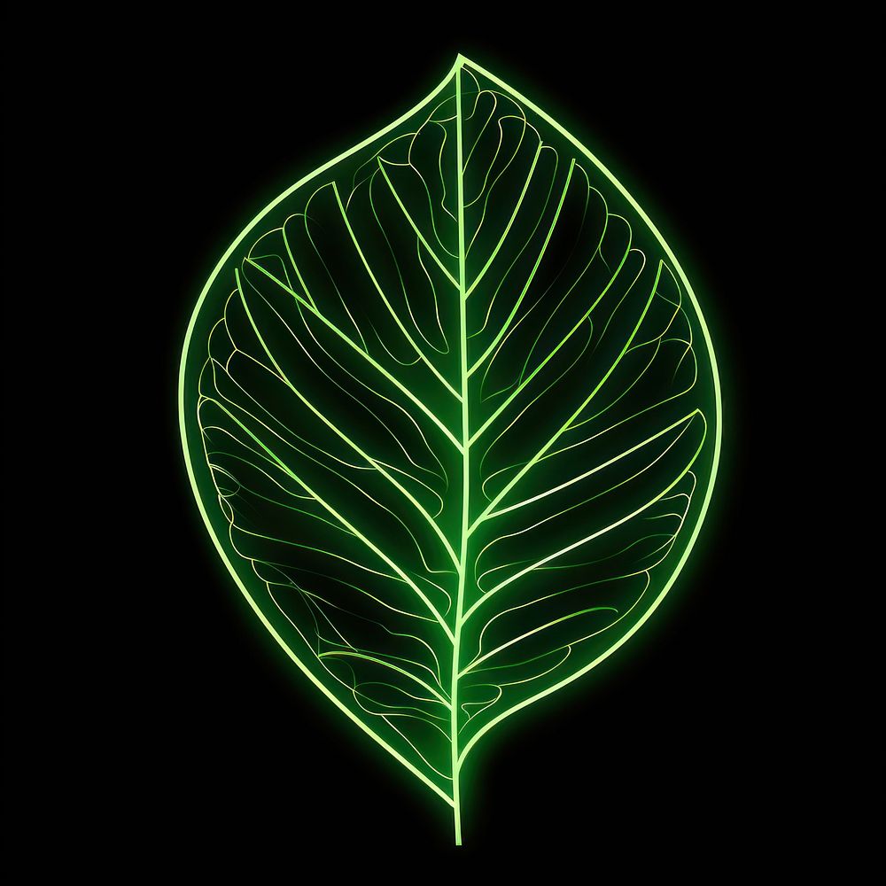 Abstract leaf glowing nature plant.