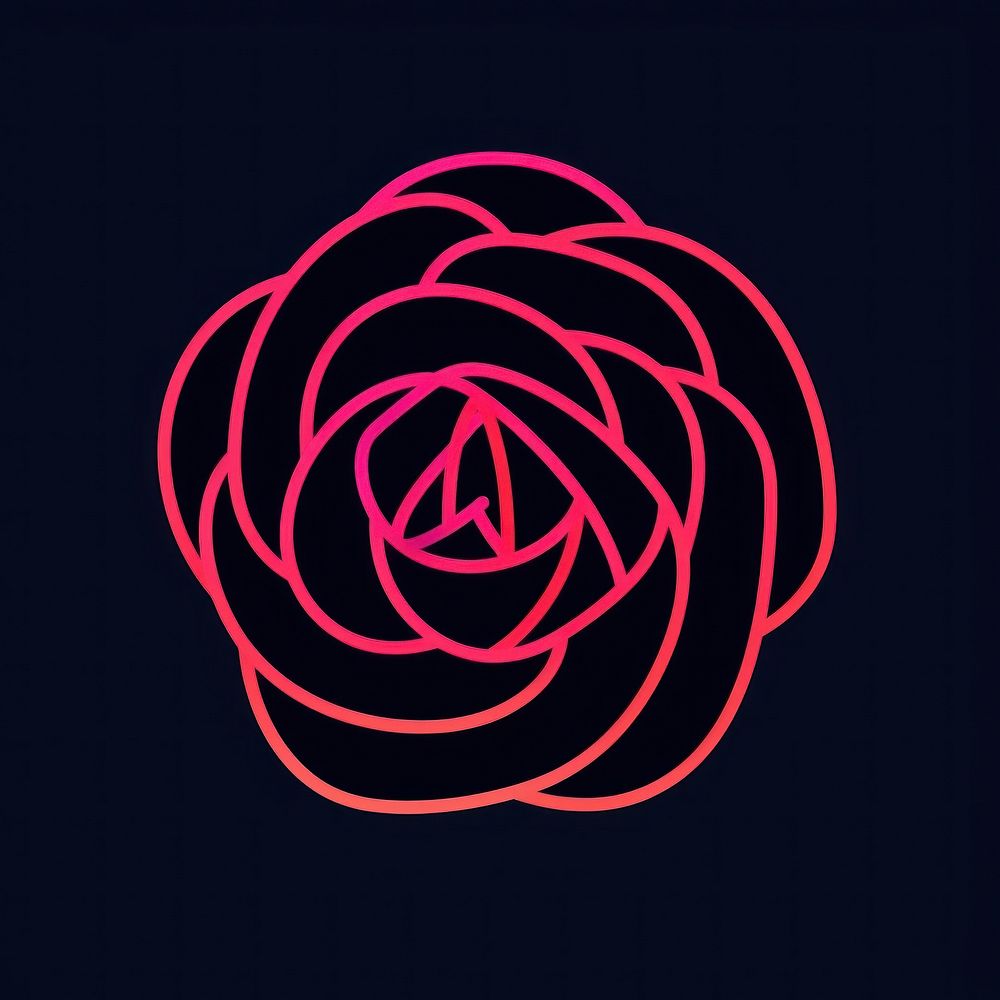 Abstract rose glowing spiral light.