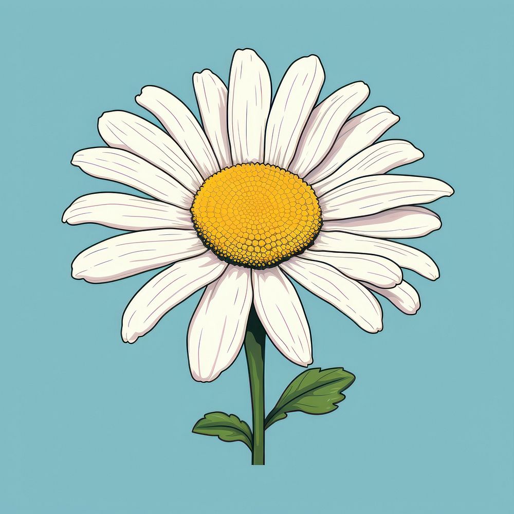 Memphis Design Daisy Asteraceae Blossom Premium Photo Illustration Rawpixel 3175