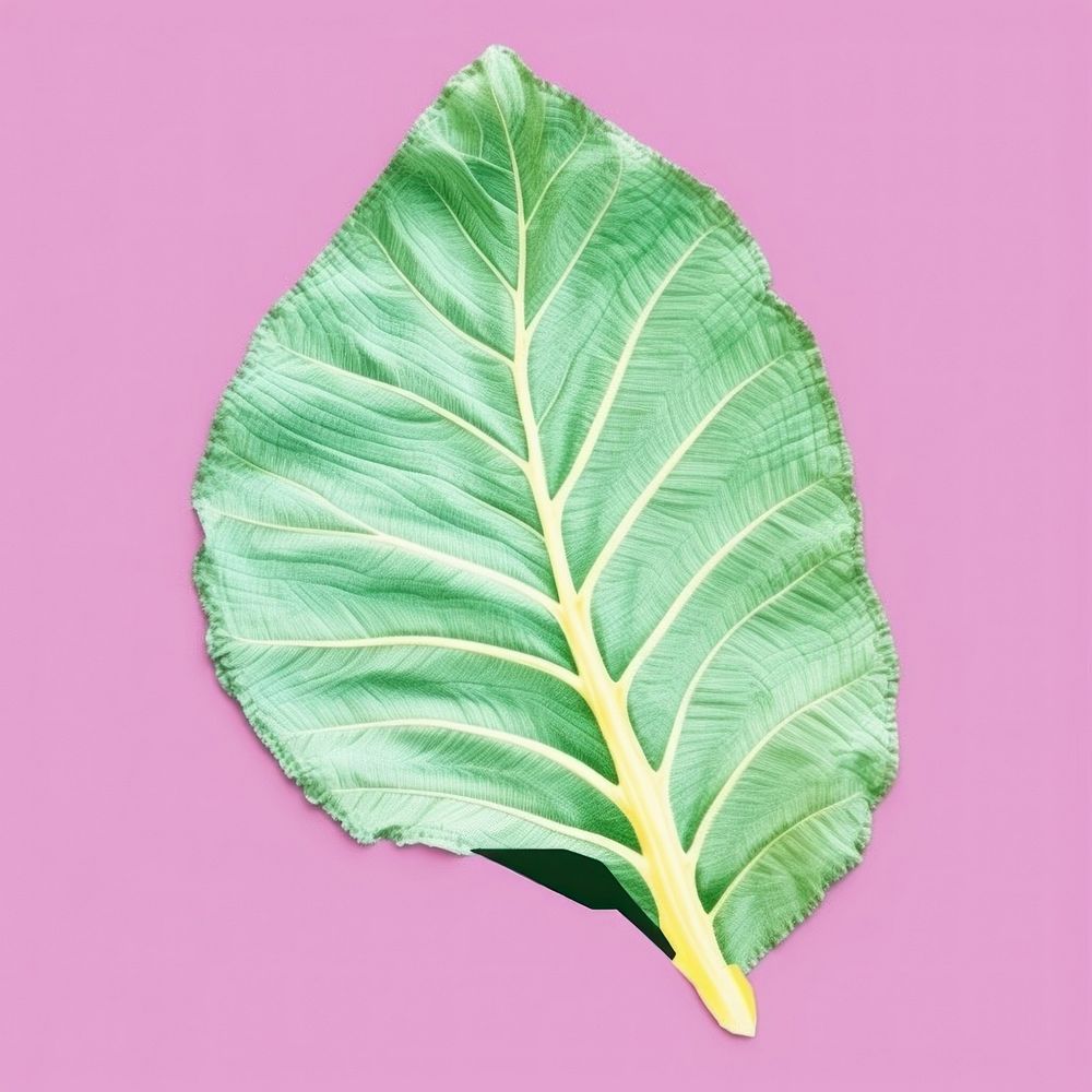 Simple fabric textile illustration minimal of a leaf plant xanthosoma freshness.