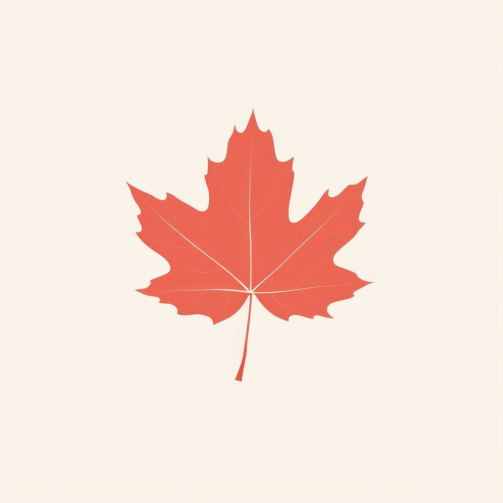 Illustration of maple leaf plant autumn symbol.