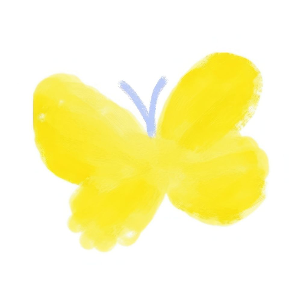 Hand drawn a butterfly petal white background freshness.