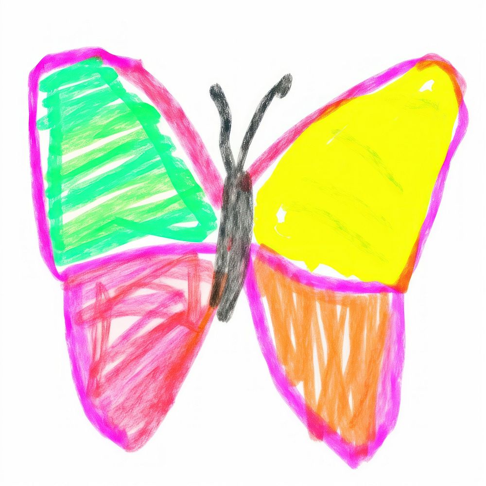 Butterfly drawing sketch white background.