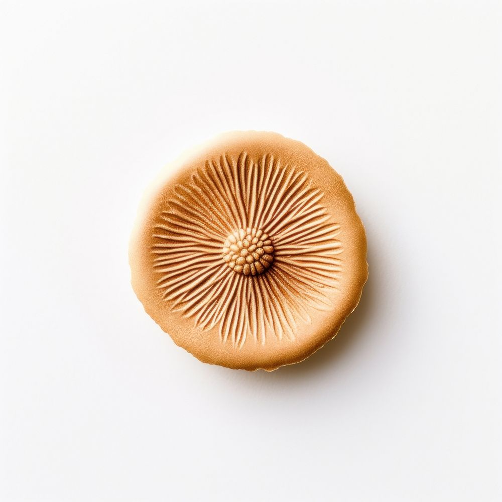Seal Wax Stamp anemone mushroom white background simplicity.