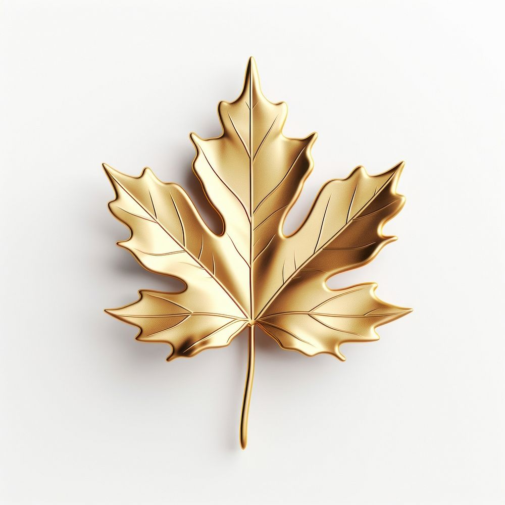 Maple leaf plant tree gold.