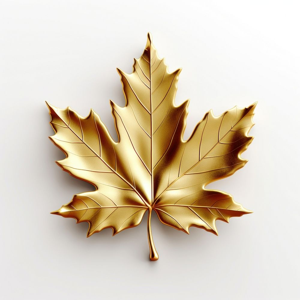 Maple leaf plant tree gold.