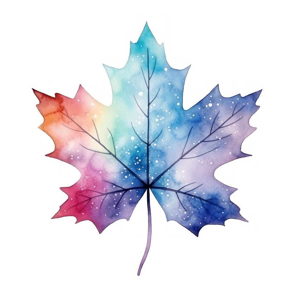 Mapleleaf in Watercolor style plant tree white background.