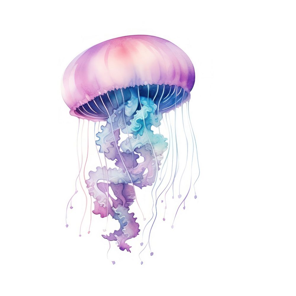 Galaxy element of jellyfish in Water color style white background invertebrate transparent.