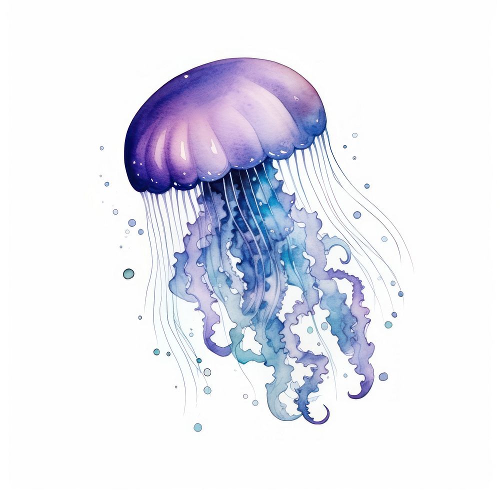 Galaxy element of jellyfish in Water color style white background invertebrate translucent.