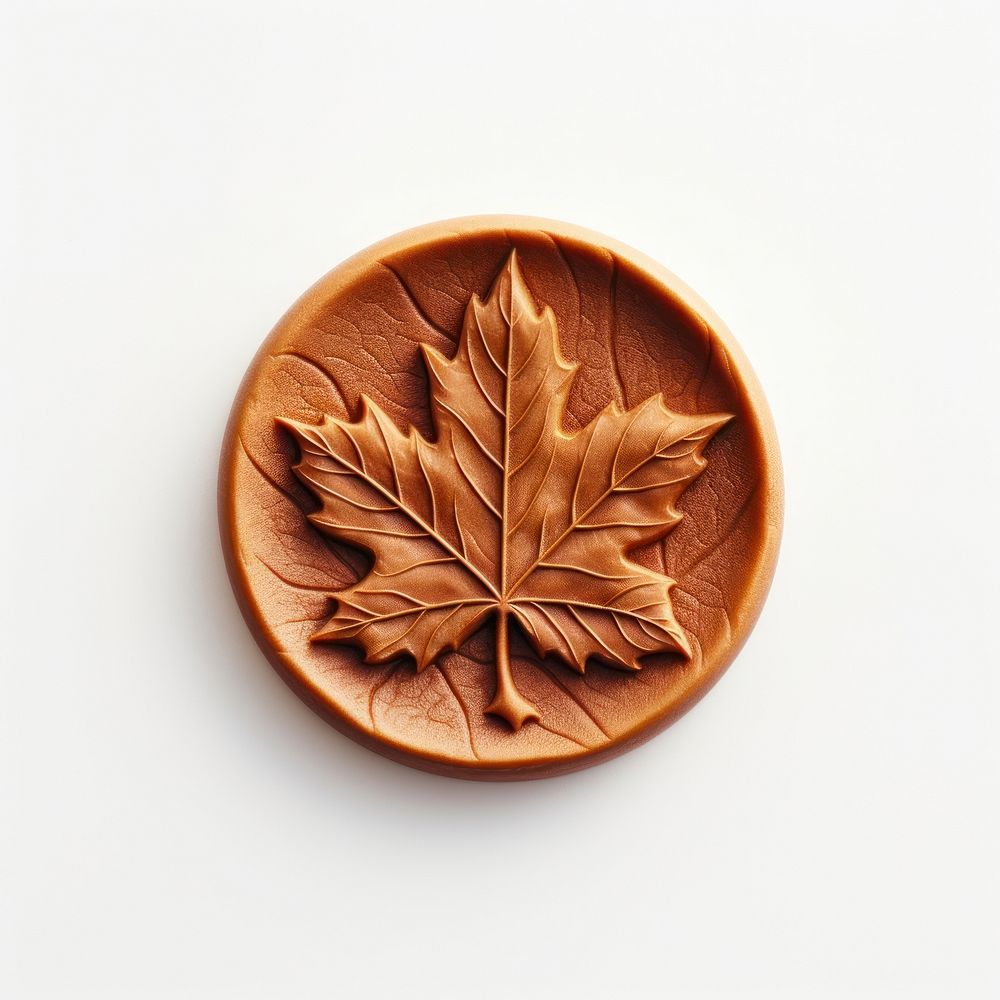 Maple leaf shape plant white background. AI generated Image by rawpixel.