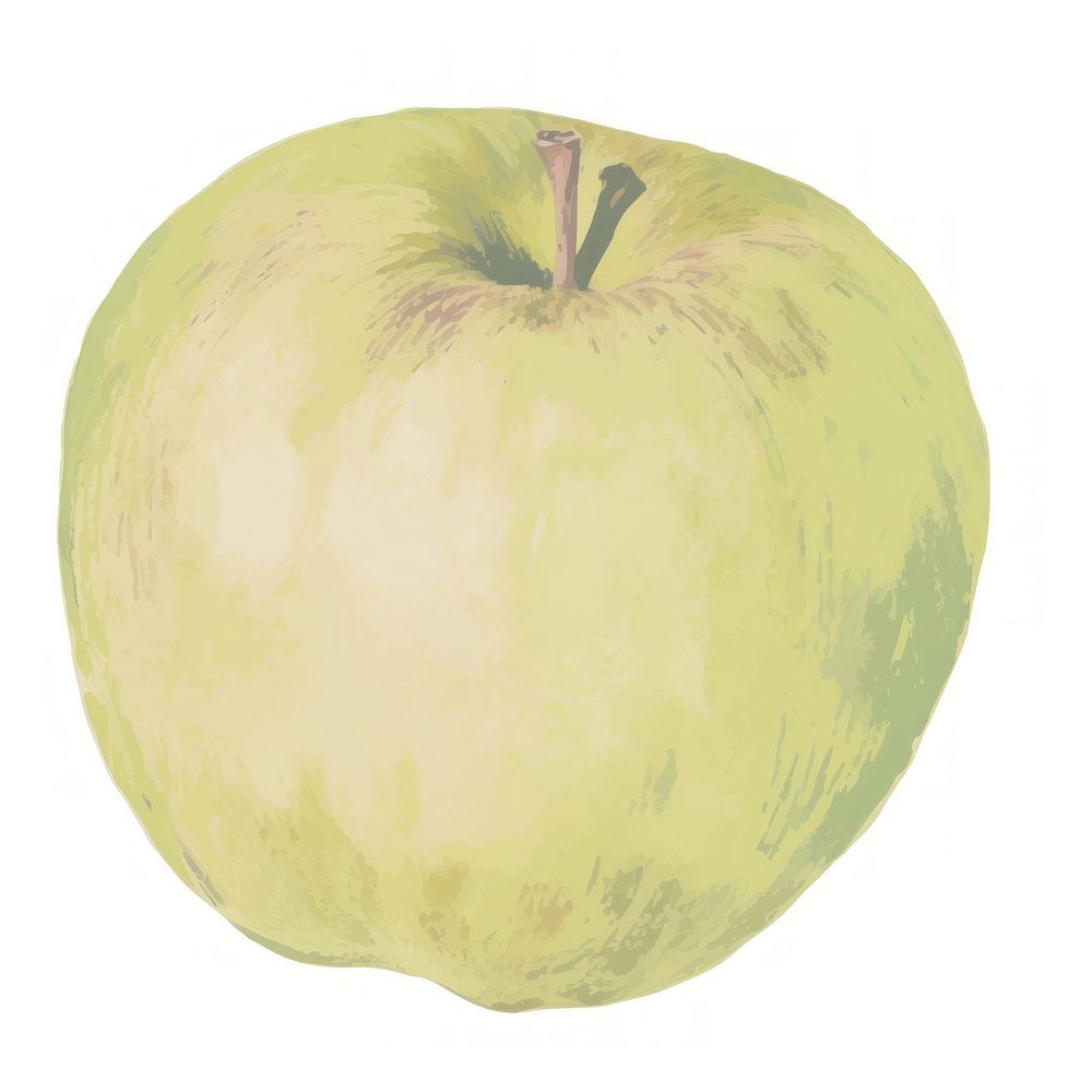 Illustration of green apple fruit plant food.