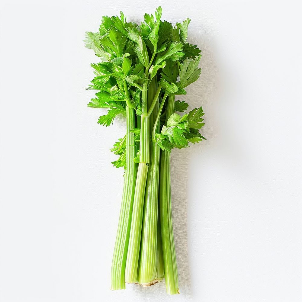 Celery food vegetable parsley.