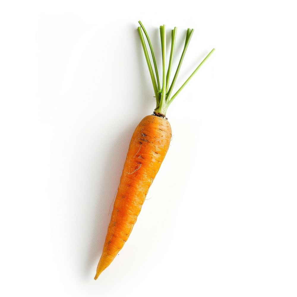 Vegetable carrot food organic.