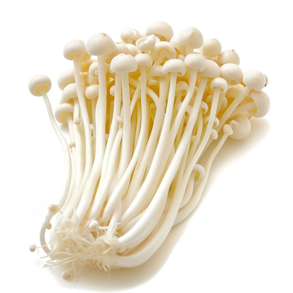 Enoki Mushrooms mushroom vegetable fungus.