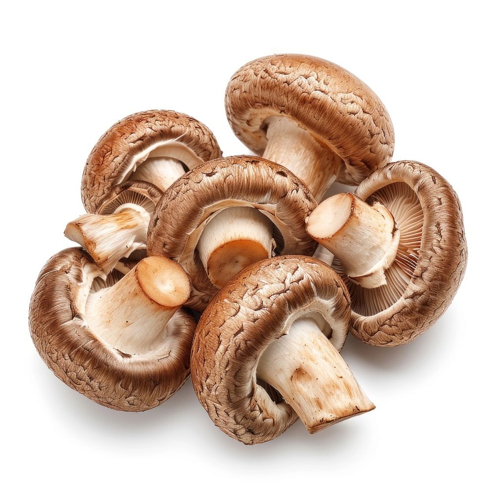 Shiitake Mushrooms mushroom vegetable fungus.