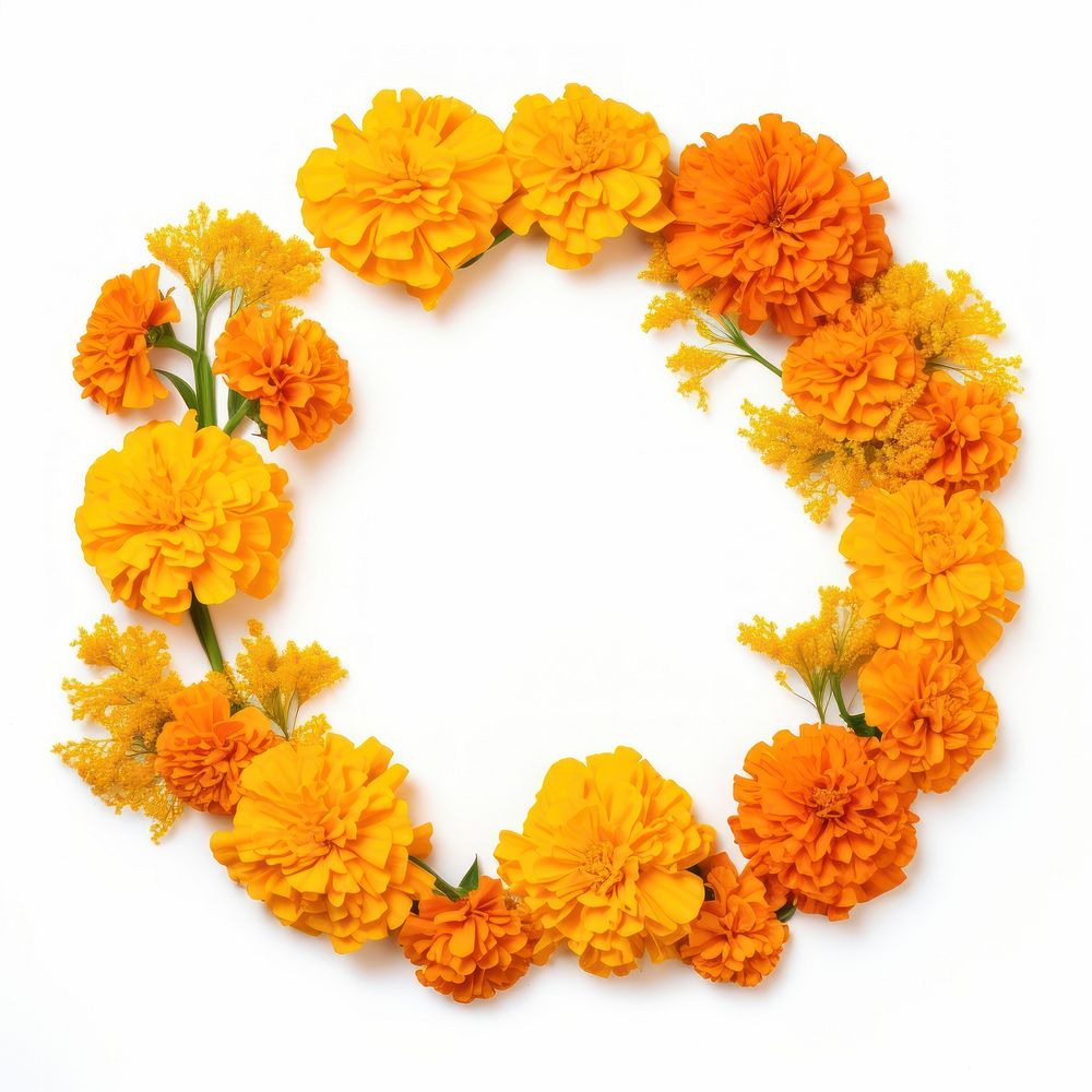 Floral frame marigold flower circle petal.