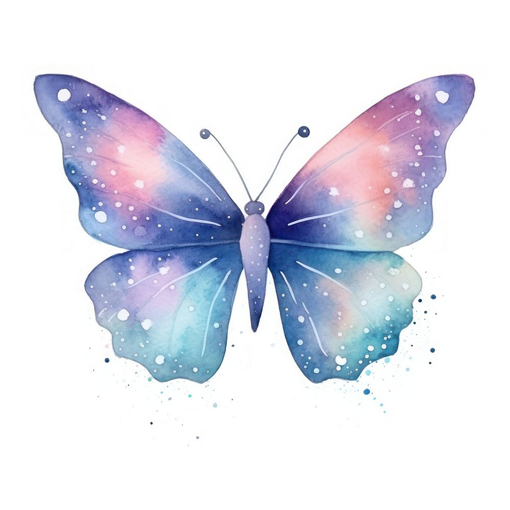 Butterfly in Watercolor style insect white background invertebrate.