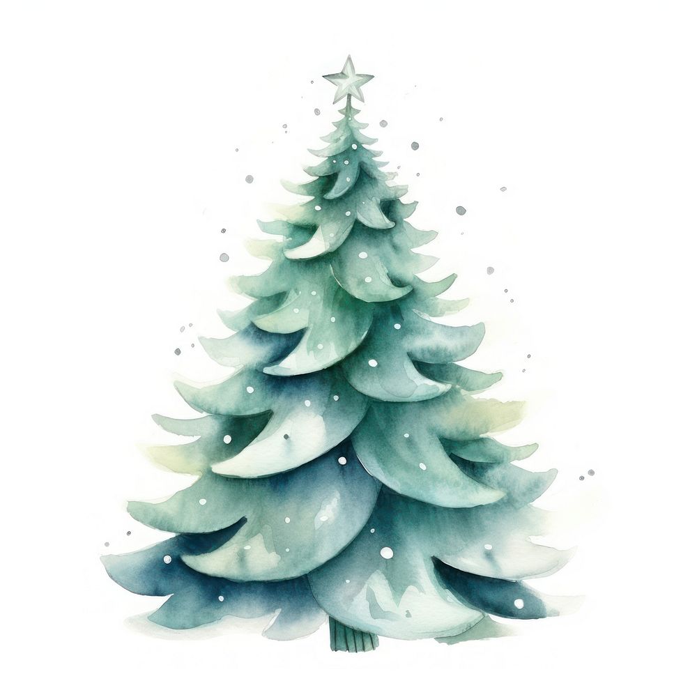 Christmas tree box in Watercolor style christmas plant white background.