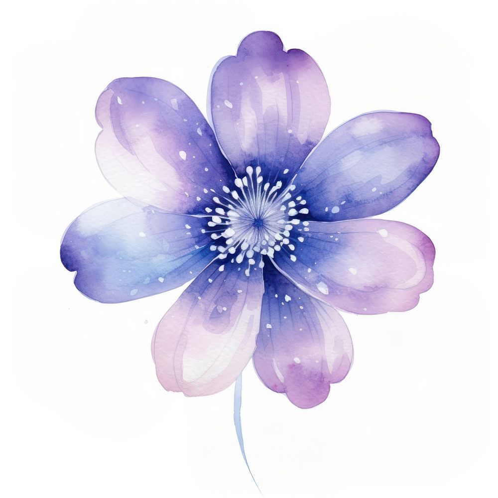 Galaxy element of flower in Watercolor blossom petal plant.