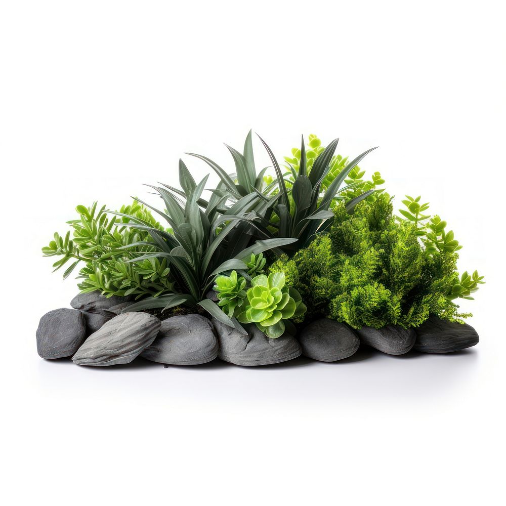 Garden design plant garden green. AI generated Image by rawpixel.