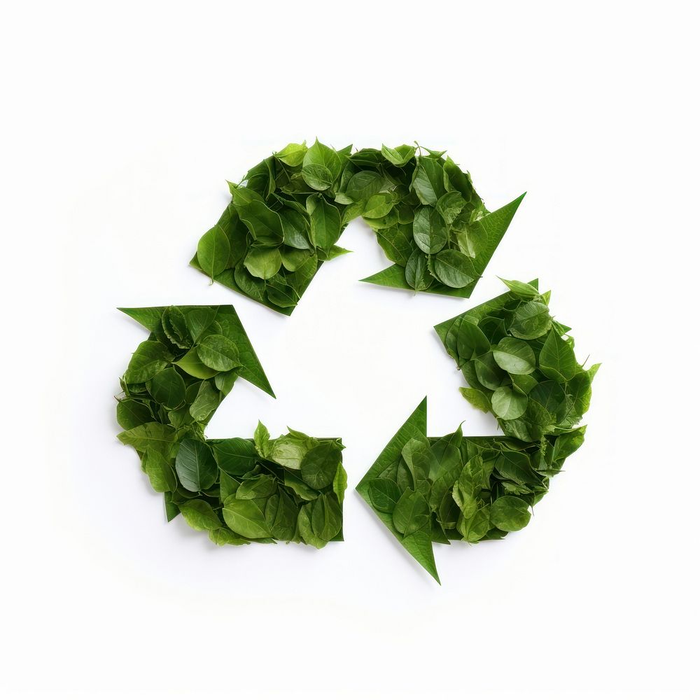 Recycle icon green plant leaf.