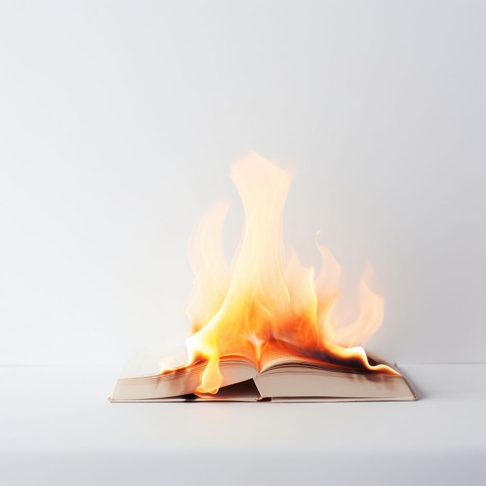 Photography of a Small Burning book fire publication burning.