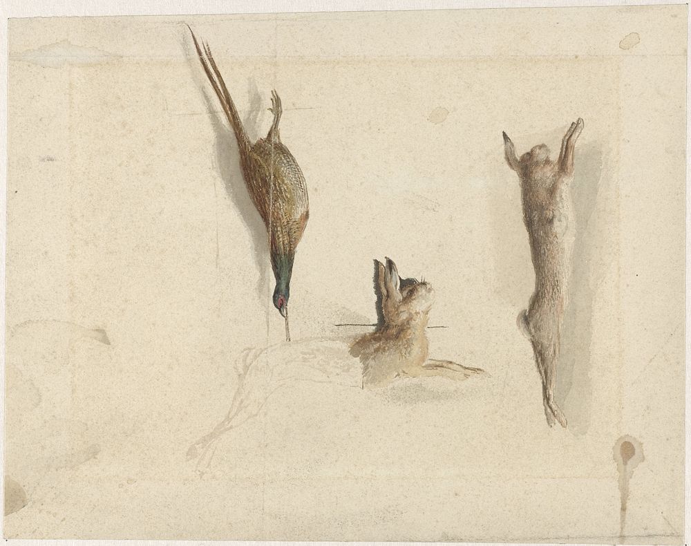 Dode fazant en twee dode hazen (1822 - 1880) by Reinier Craeyvanger