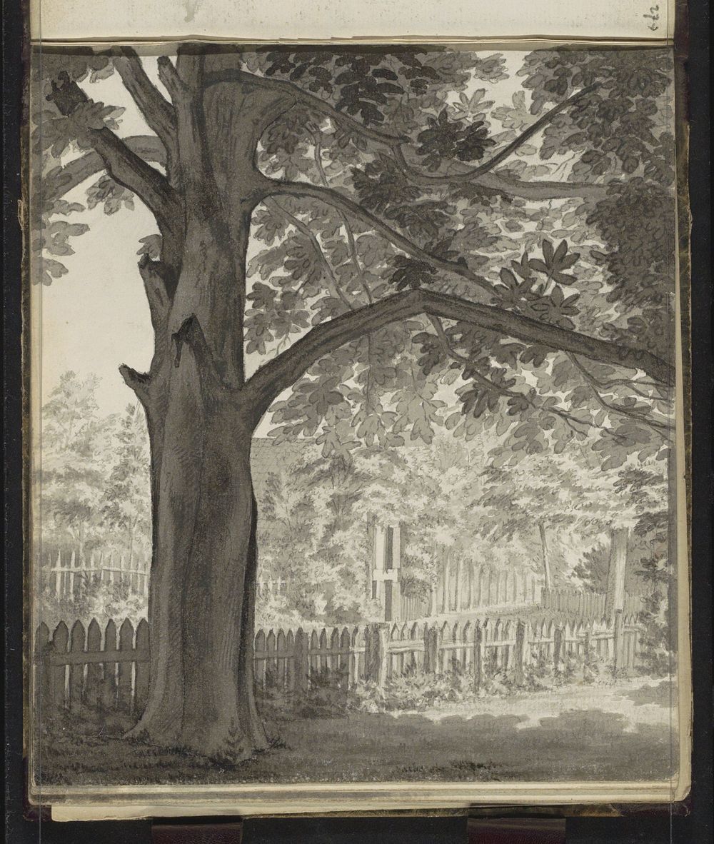 Boom bij een hek (1820 - 1872) by Hendrik Abraham Klinkhamer
