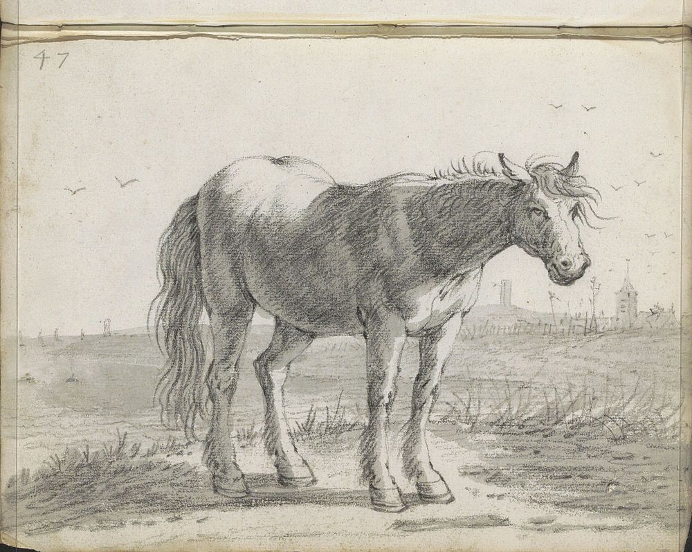 Paard in een landschap (1666) by Cornelis Saftleven