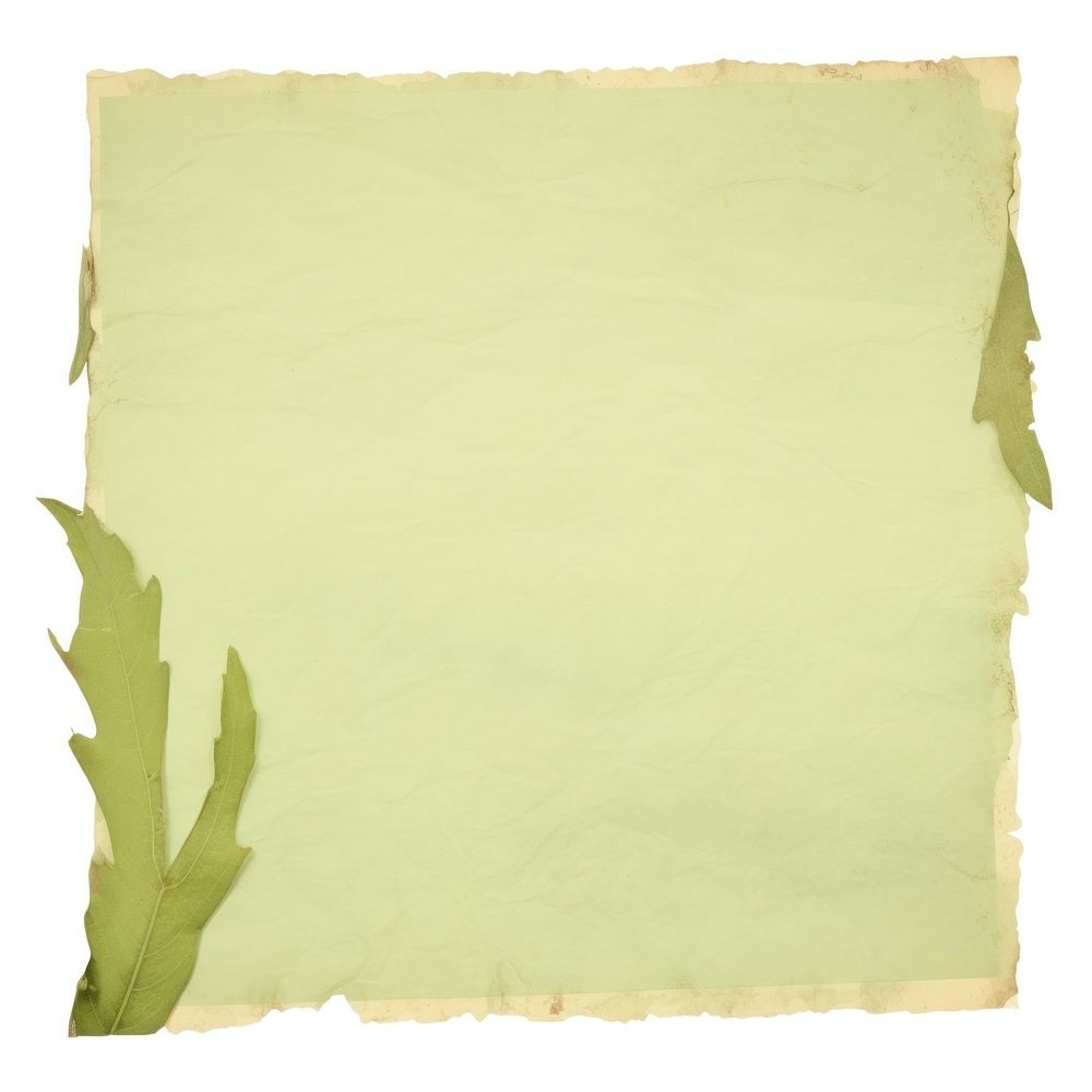 Green botanical ripped paper backgrounds text white background.