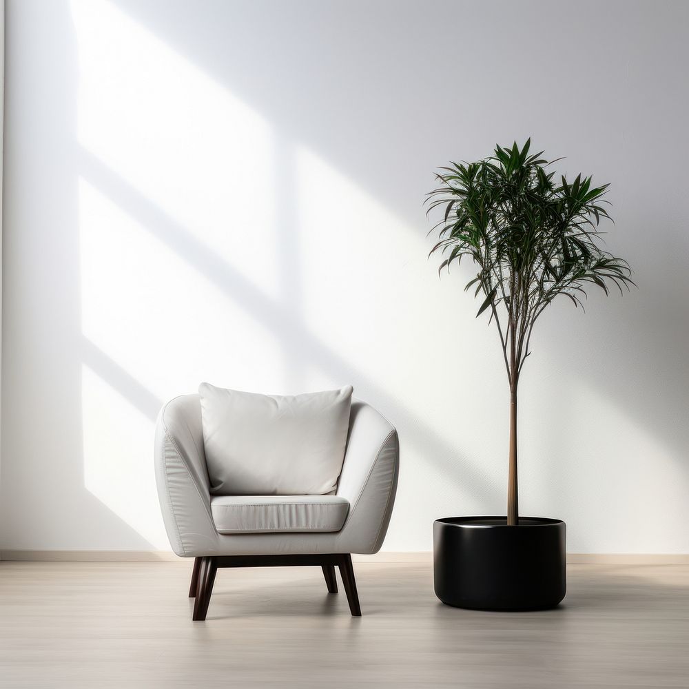 A living room furniture armchair plant.