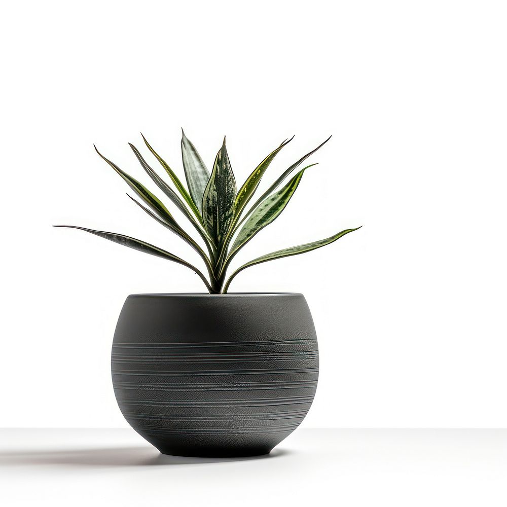 Modern planter pottery vase leaf.