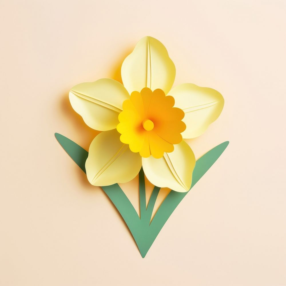 Paper cutout illustration daffodil flower plant inflorescence.