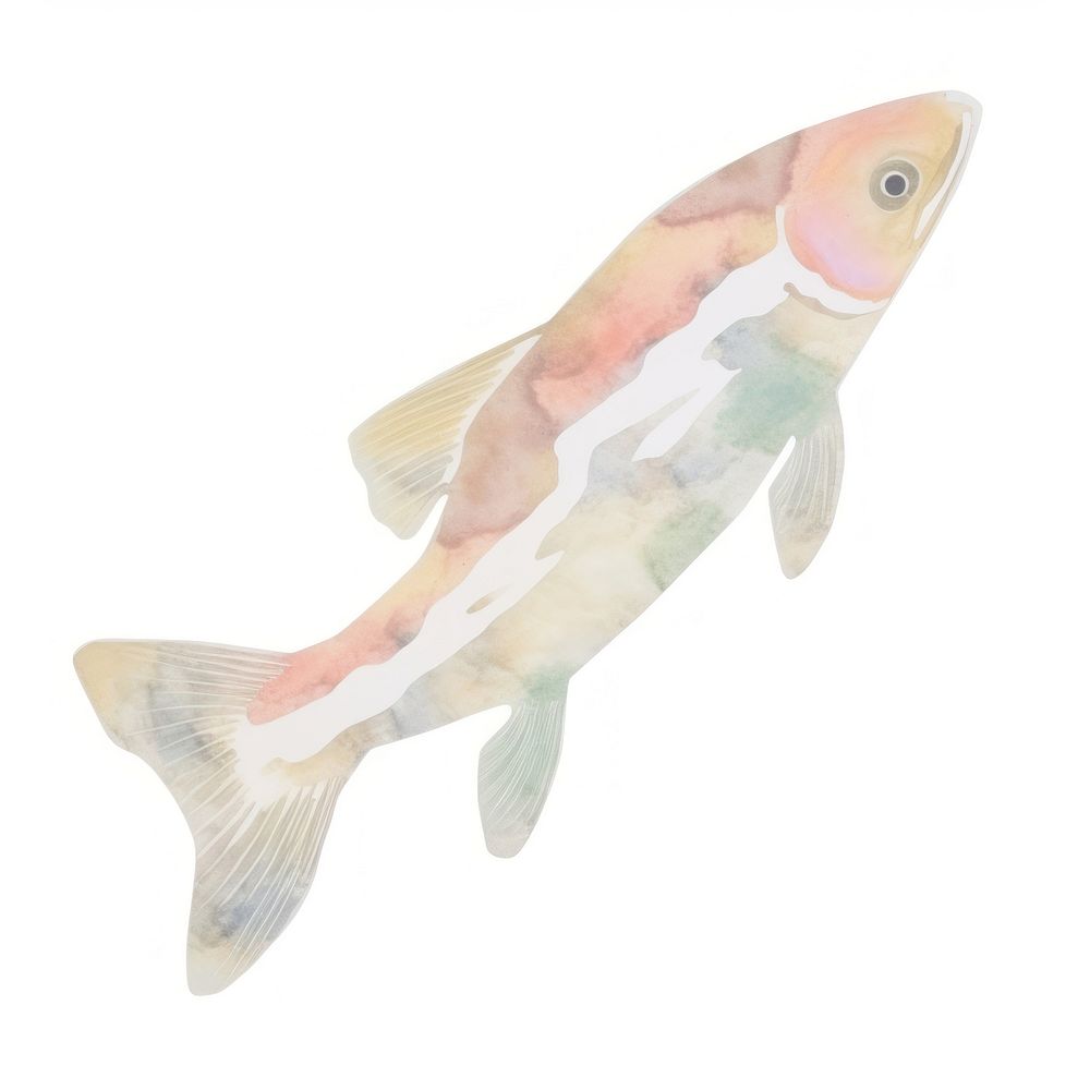 Fish shaped marble distort animal carp koi.