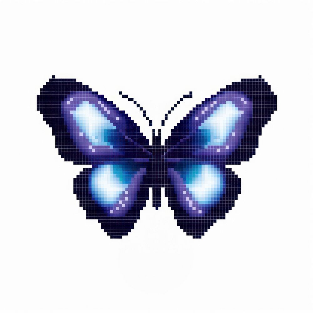 Cross stitch night butterfly insect white background invertebrate.