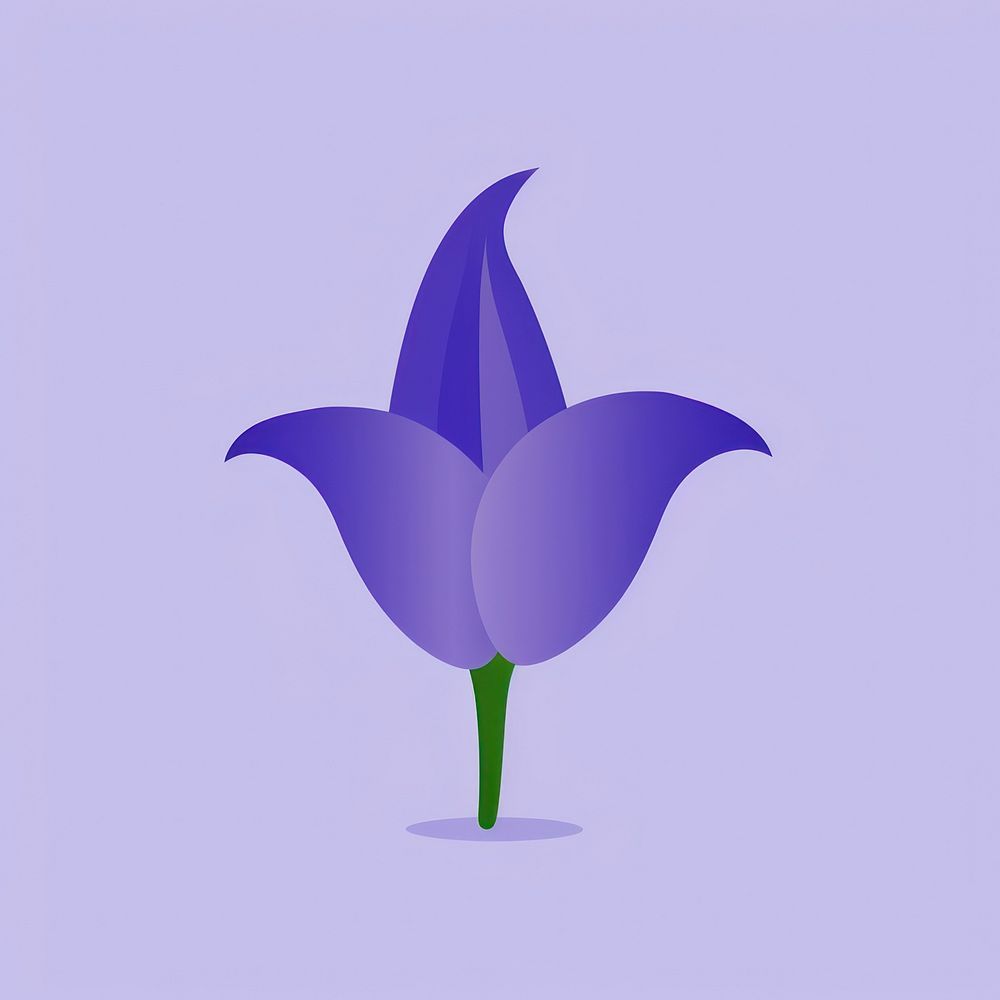 Bellflower purple petal plant.