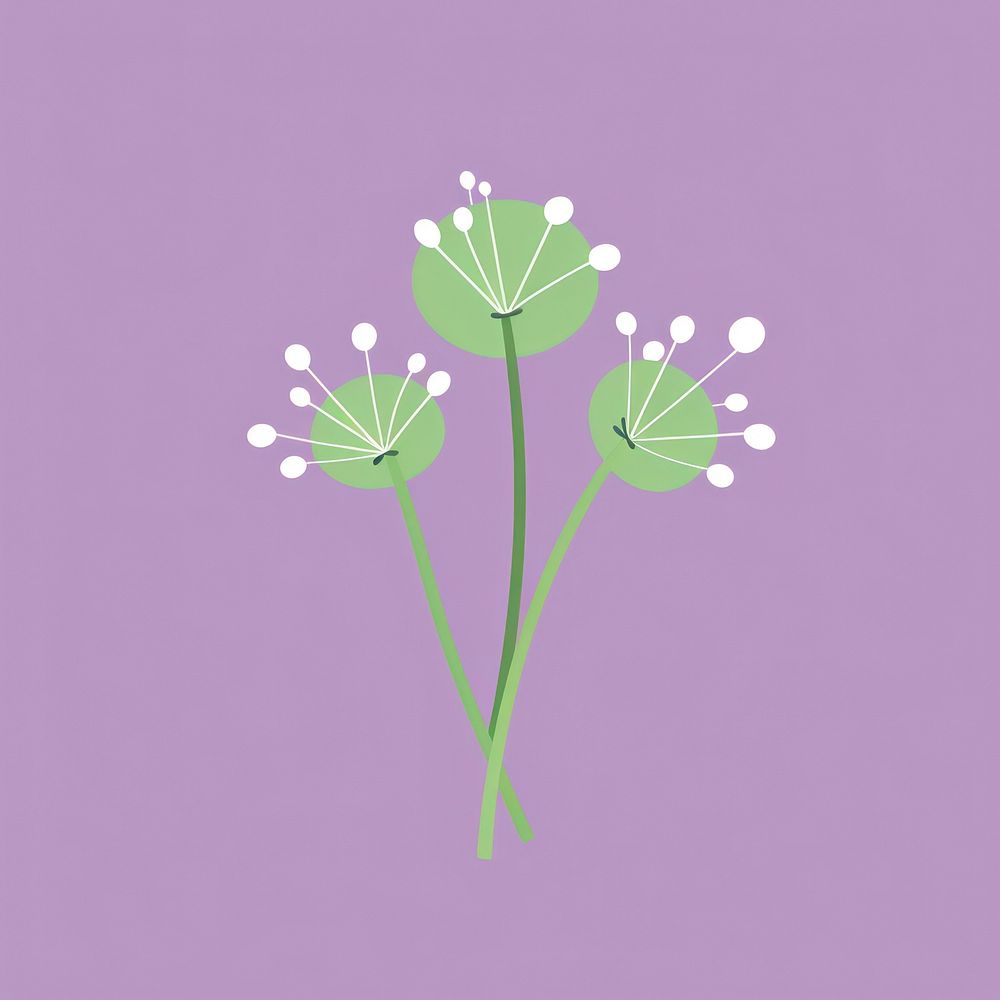 Allium graphics flower plant.