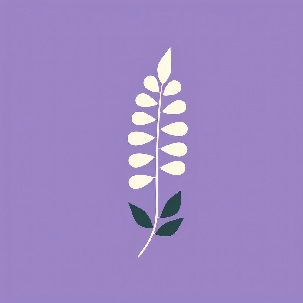American wisteria graphics pattern plant.