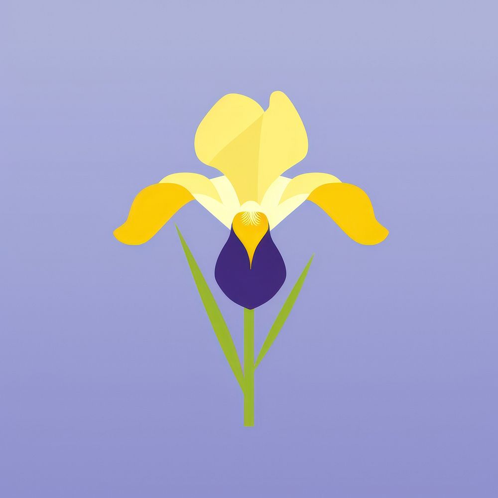 Bearded iris flower petal plant.