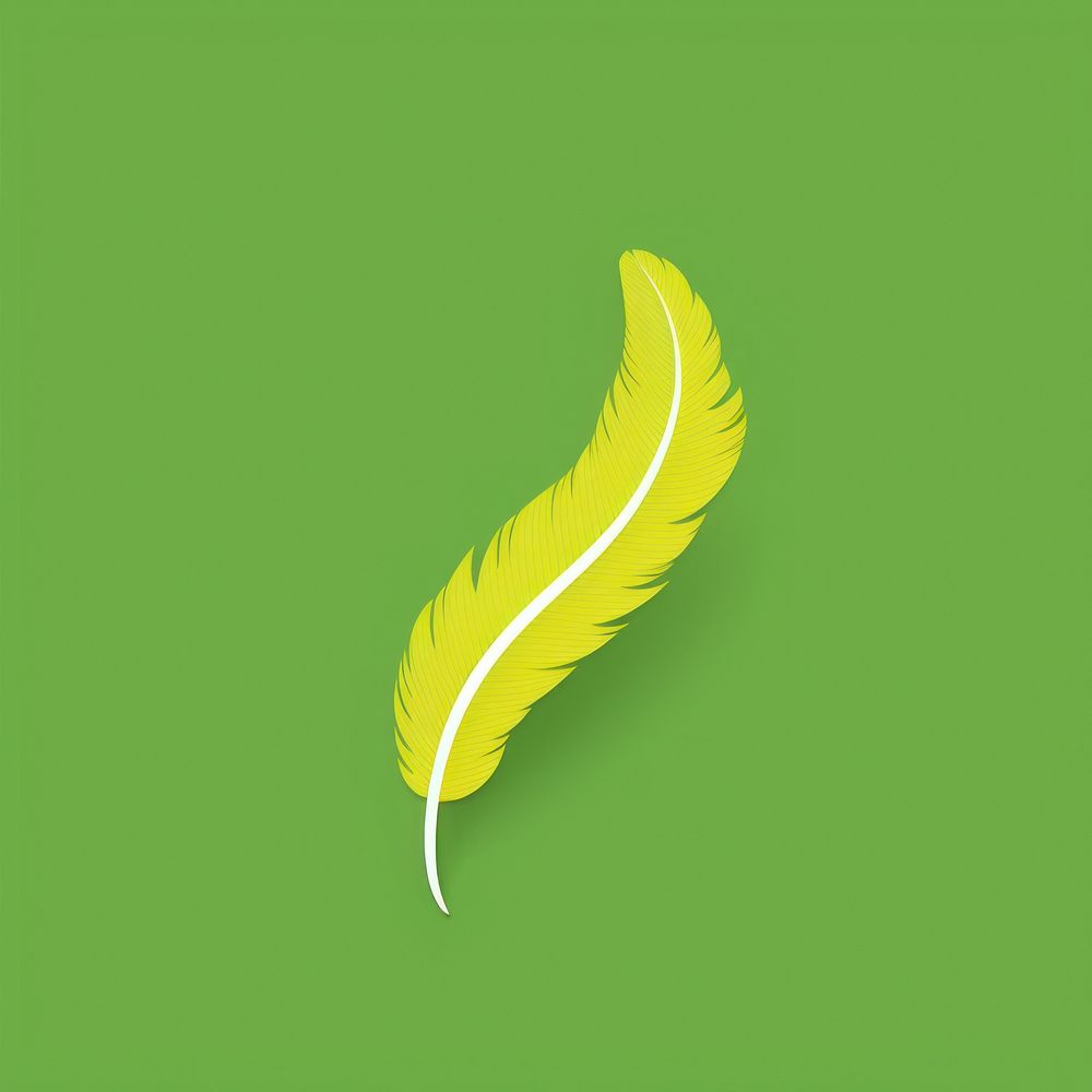 Brazilian plume green lightweight feather.