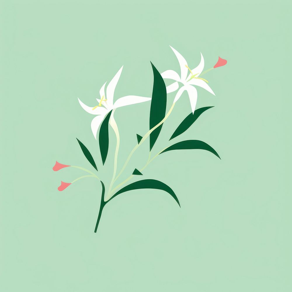 Bush lily graphics flower plant.