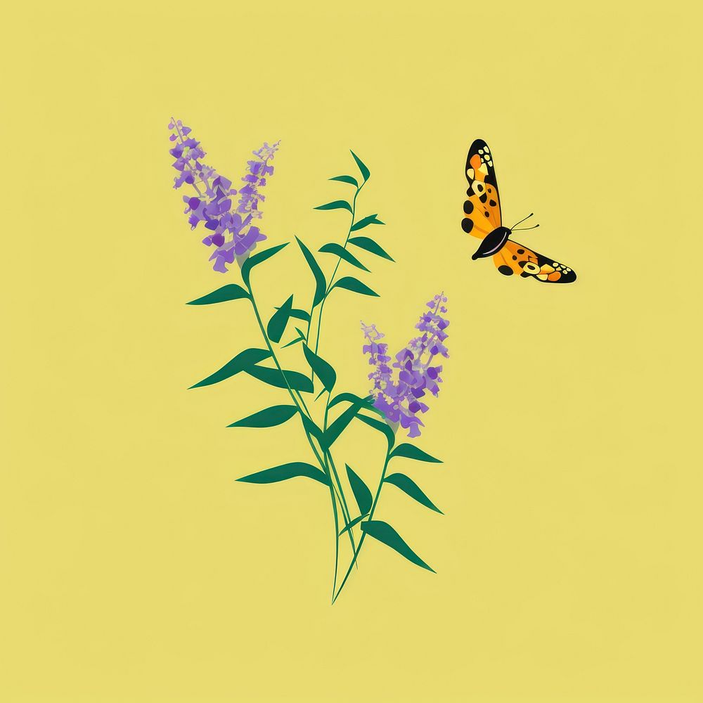 Butterfly bush flower insect animal.
