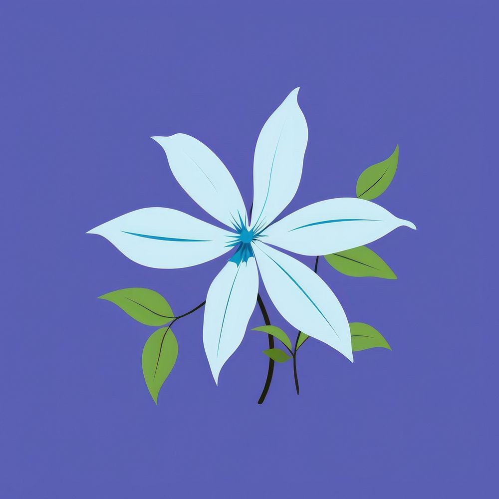 Clematis graphics flower plant.