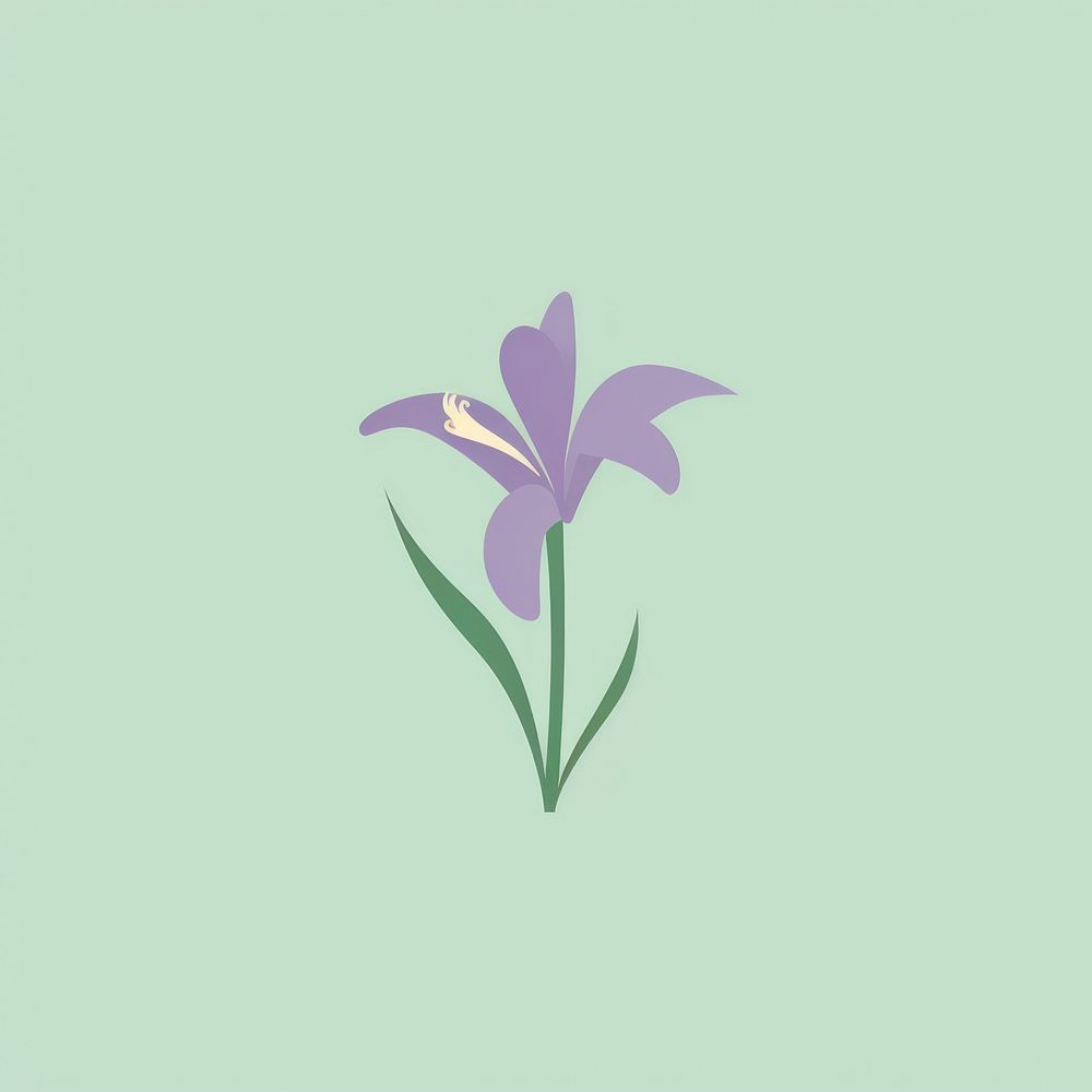 Fairy iris flower purple petal.
