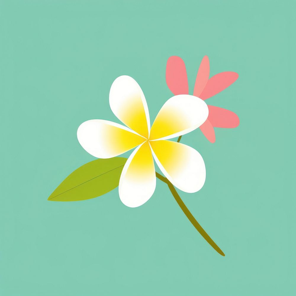Frangipani graphics blossom flower.