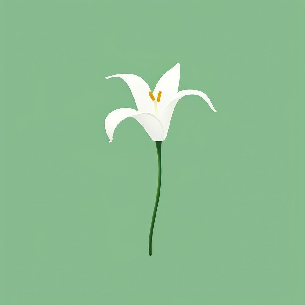 Guernsey lily flower plant amaryllidaceae. | Free Photo Illustration ...